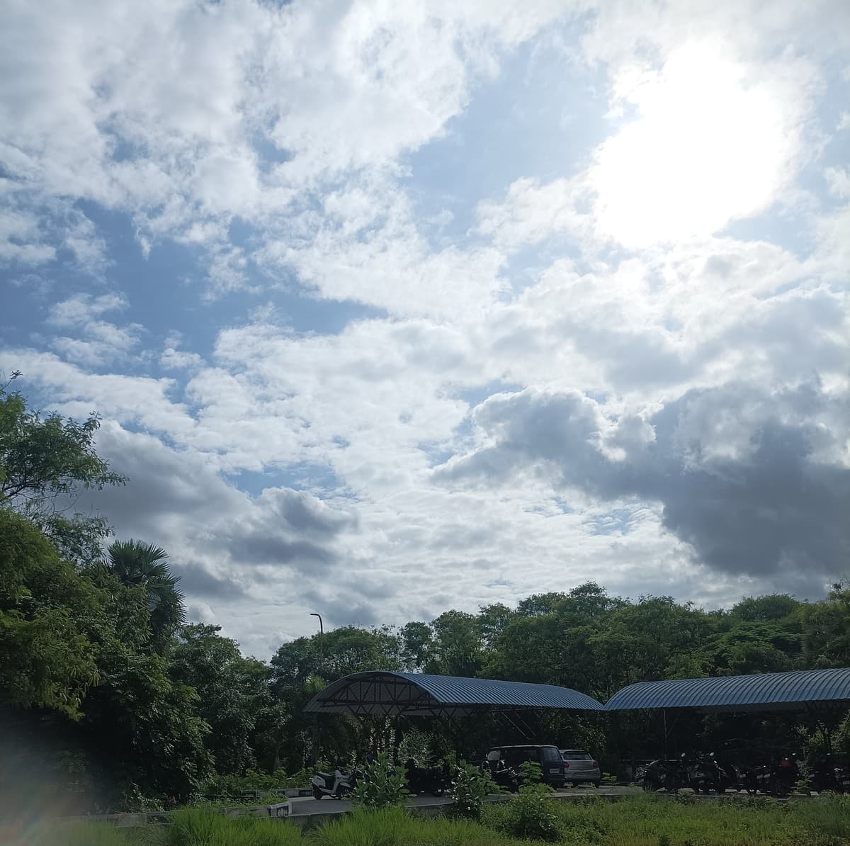 Clouds and trees - a beautiful perspective on life